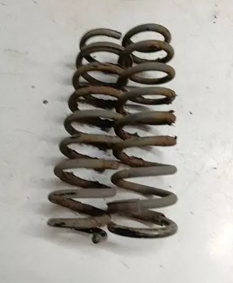 Rear coil spring
