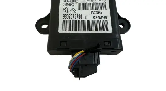 Peugeot iOn Other control units/modules 9802575780 503440600005