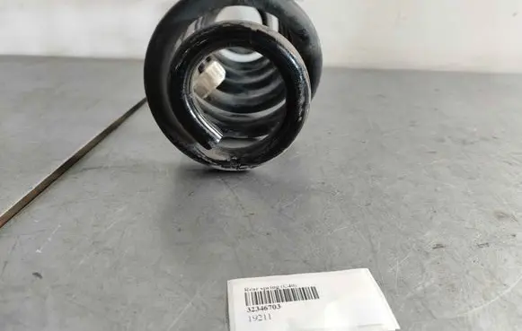 Rear coil spring