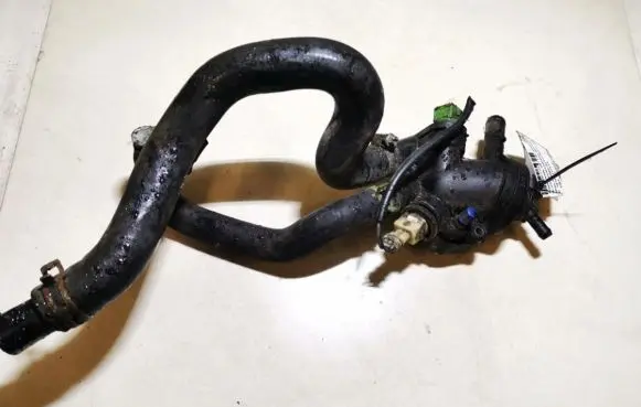 Renault Scenic I Engine coolant pipe/hose