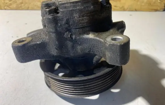 Electric power steering pump