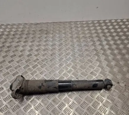 Audi Q4 e-tron Rear shock absorber/damper 1EA512013AJ