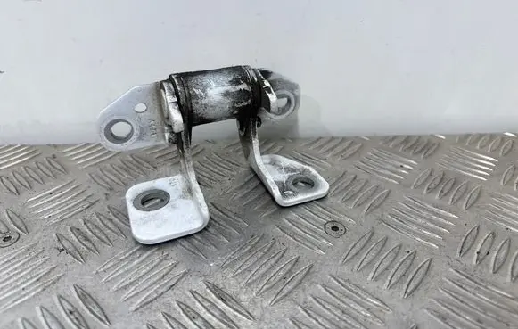 Rear door lower hinge