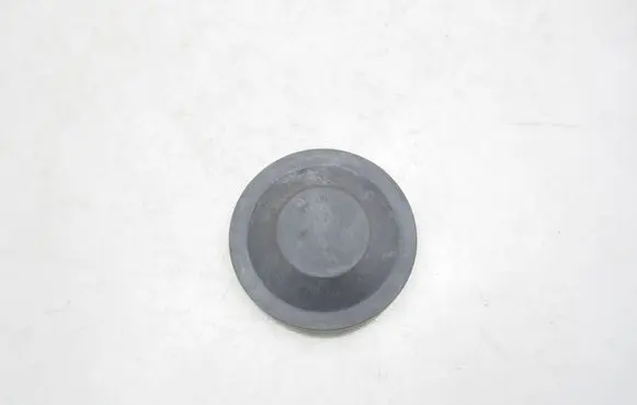Volkswagen Golf V Headlight/headlamp dust cover 153873