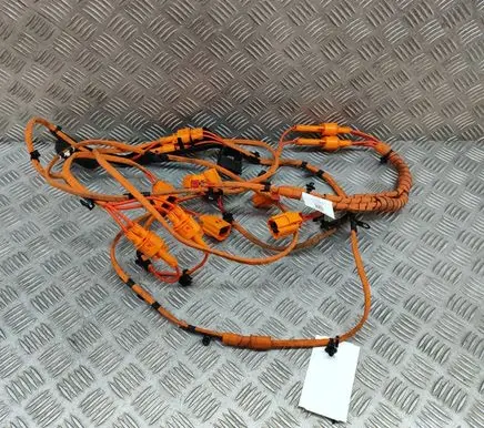 Volkswagen ID.5 Other wiring loom 1EA971398AK