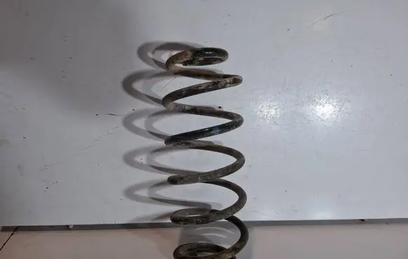 Rear coil spring