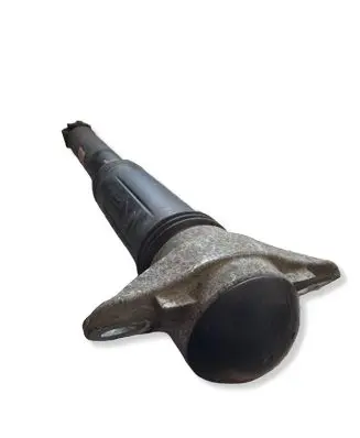 Toyota RAV 4 (XA50) Rear shock absorber/damper 4853042130