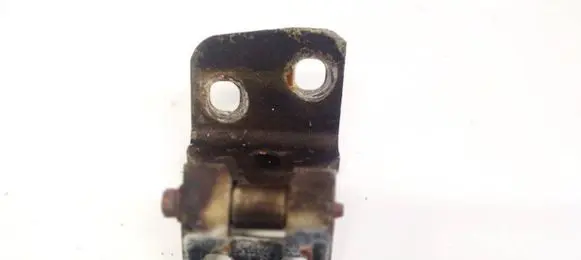 Rear door lower hinge