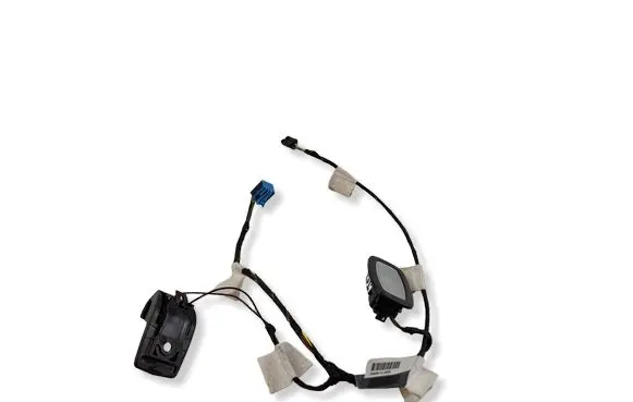 Mercedes-Benz SLC R172 Other wiring loom A1725407301 A0009069904