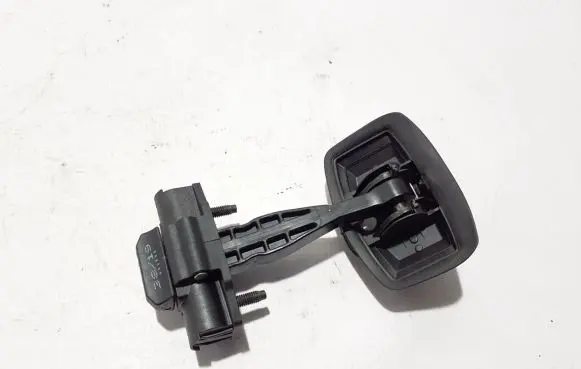 Dacia Duster II Rear door check strap stopper 804300992R