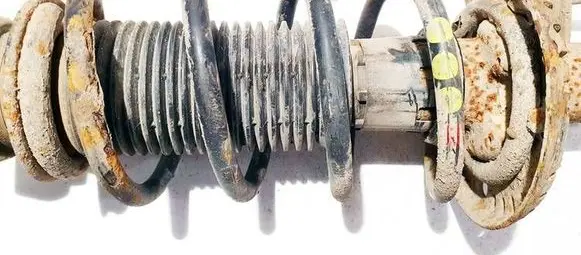 Skoda Roomster (5J) Front coil spring 