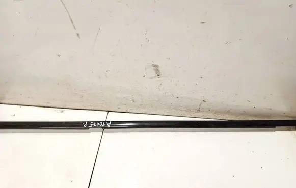 BMW X5 E53 Front door glass trim molding 