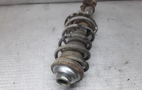 Opel Zafira B Front shock absorber/damper