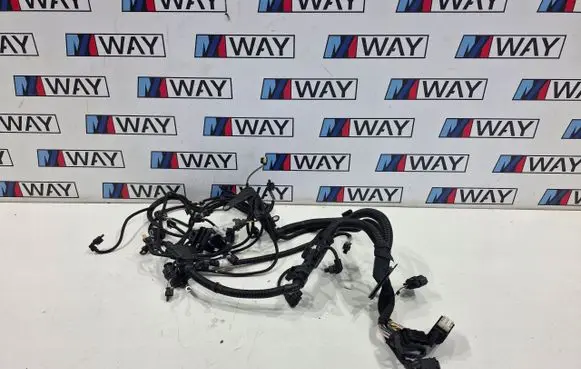 BMW X1 F48 F49 Engine installation wiring loom 