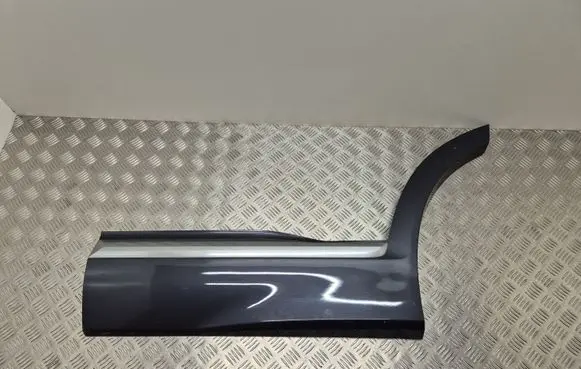 Rear door trim (molding)