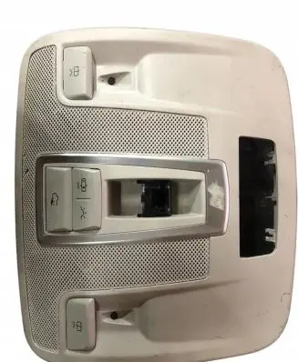 Mercedes-Benz G W463 2nd Gen Headlining lighting console trim 4639066500