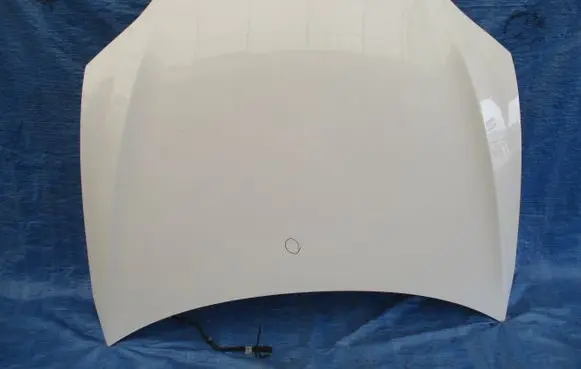 Tesla Model S Engine bonnet/hood