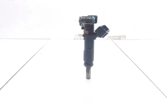 Opel Insignia A Fuel injector 55353806