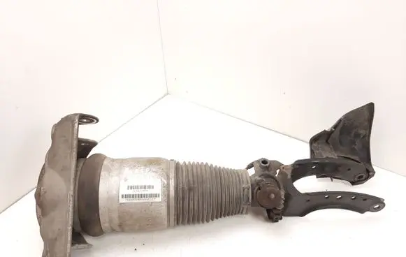 Porsche Cayenne (9PA) Front air suspension shock absorber 7L5616039