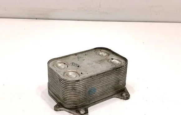 Volkswagen PASSAT B7 Engine oil radiator 