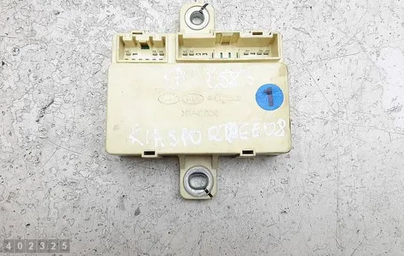 Door central lock control unit/module