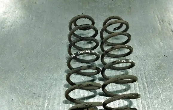Rear coil spring