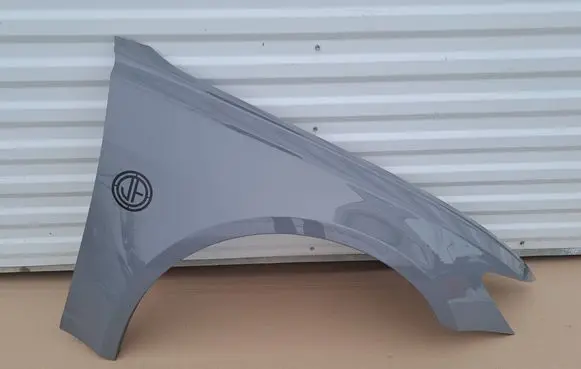 Audi RS6 C8 Fender 