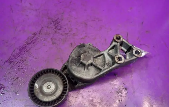 Volkswagen Bora Timing belt/chain tensioner