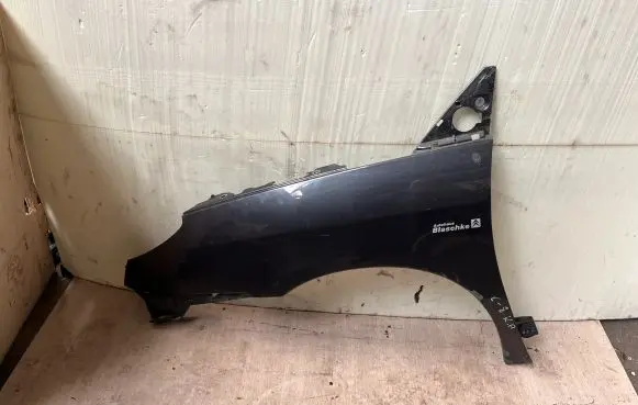 Citroen C8 Fender