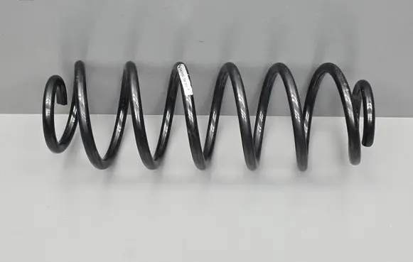 Rear coil spring