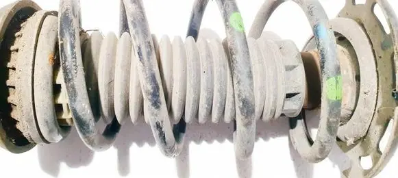 Front coil spring