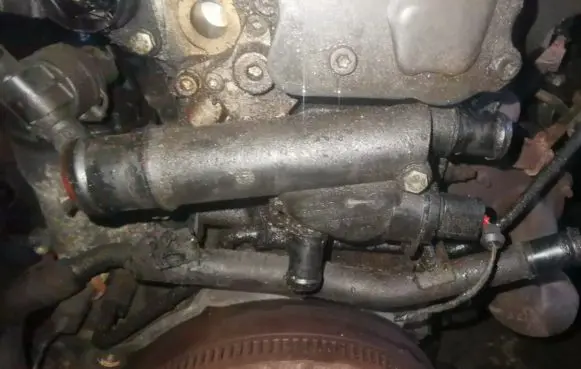 Seat Ibiza III (6L) Engine coolant pipe/hose 038121132d