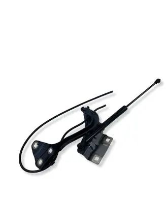 Renault Megane IV Engine bonnet/hood hinges 654002203R