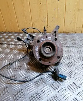 Peugeot 206 Front wheel bearing hub 