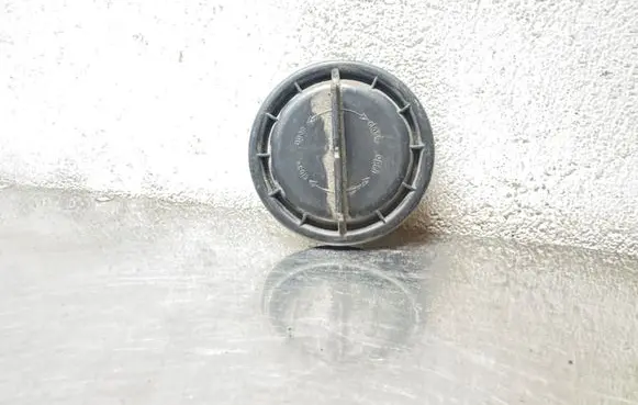 Opel Astra J Headlight/headlamp dust cover 14735400