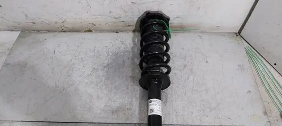 BMW X4 G02 Rear shock absorber/damper 6890945