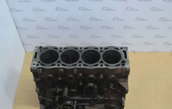 Ford Kuga I Engine block 503GB