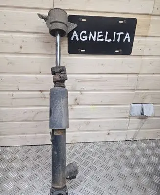 Rear shock absorber/damper
