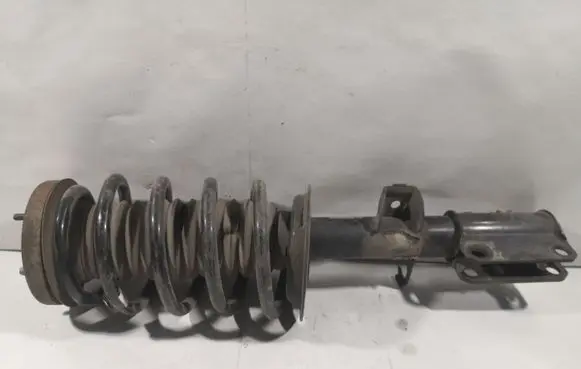 BMW X5 E53 Front shock absorber/damper 22215502