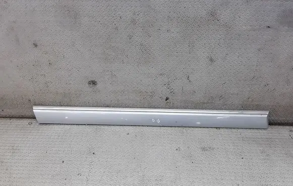 Rear door trim (molding)