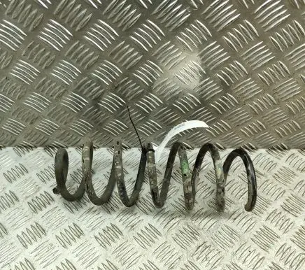 Nissan Qashqai Rear coil spring 550204EA0B
