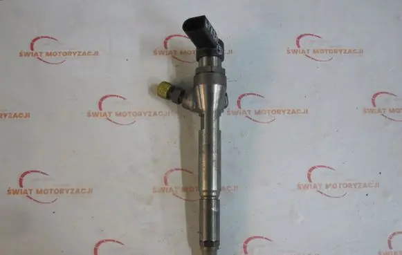Nissan Bluebird Sylphy II Fuel injector H8200294788