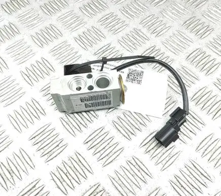 Tesla Model X Air conditioning (A/C) expansion valve 600848100B