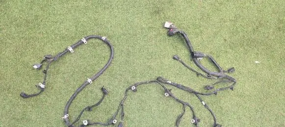 Ford Edge II Wiring harness 