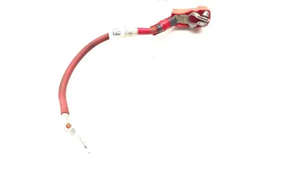 Tesla Model 3 Positive wiring loom SL0842009000567
