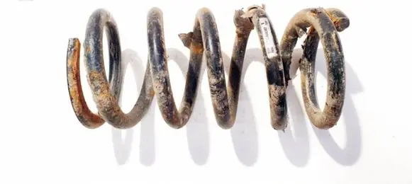 Rear coil spring