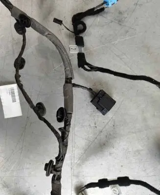 Rear door wiring loom