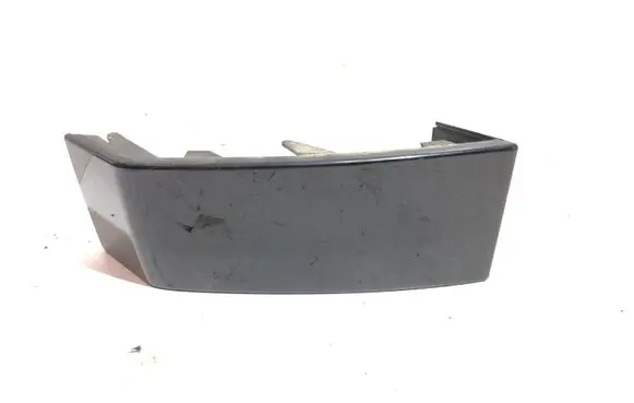 Rear/tail light trim molding