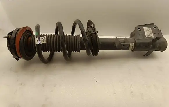 Chrysler Pacifica Front shock absorber with coil spring P68231728AA WB17