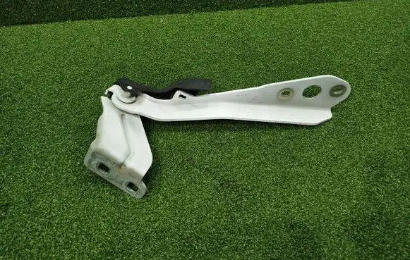 Renault Master III Engine bonnet/hood hinges 654010006R